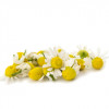 Gel intim, cu musetel si plante BIO, Life Care®